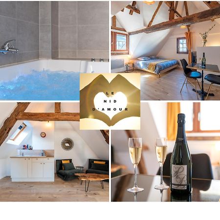 Centre-Ville Le Nid D'Amour Jacuzzi Appartement Rouen Eksteriør billede