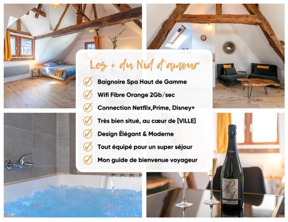 Centre-Ville Le Nid D'Amour Jacuzzi Appartement Rouen Eksteriør billede